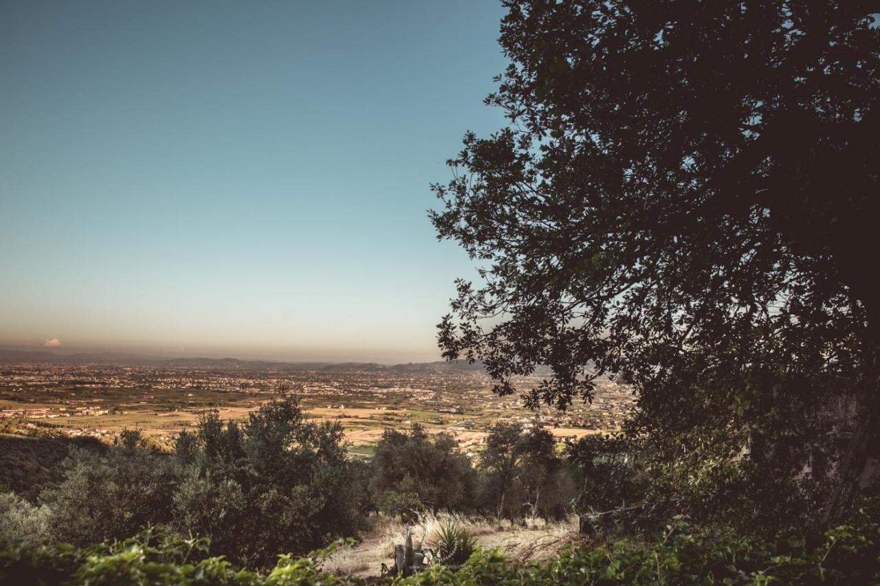 Villa Desiderio Tuscany ピストイア エクステリア 写真