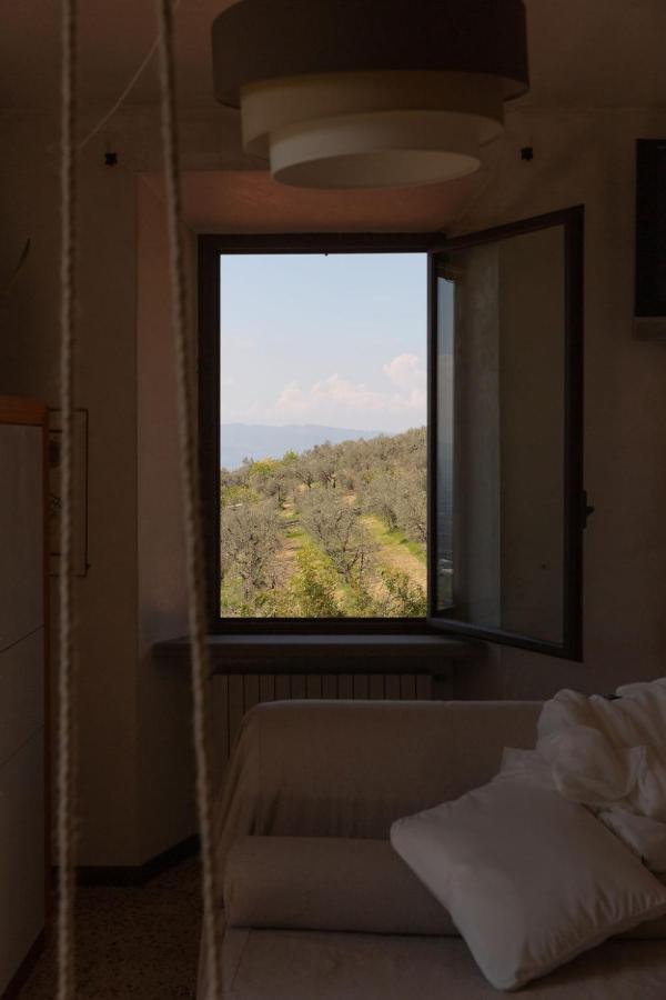 Villa Desiderio Tuscany ピストイア エクステリア 写真