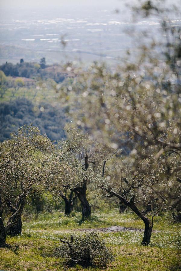 Villa Desiderio Tuscany ピストイア エクステリア 写真