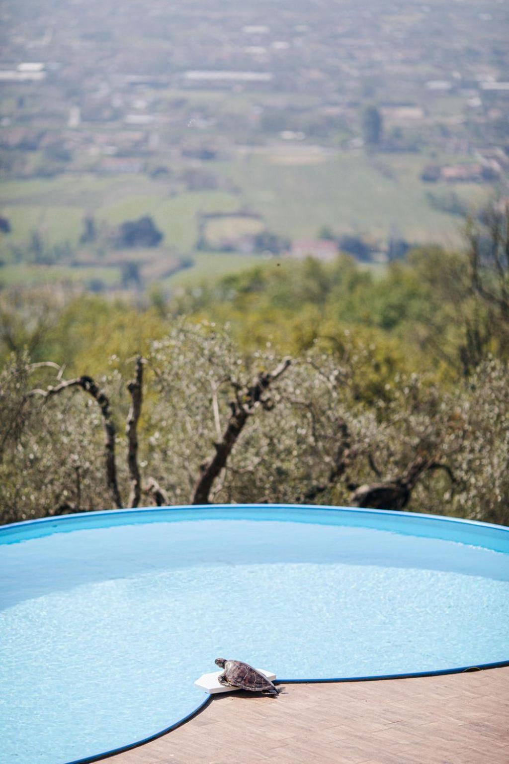 Villa Desiderio Tuscany ピストイア エクステリア 写真